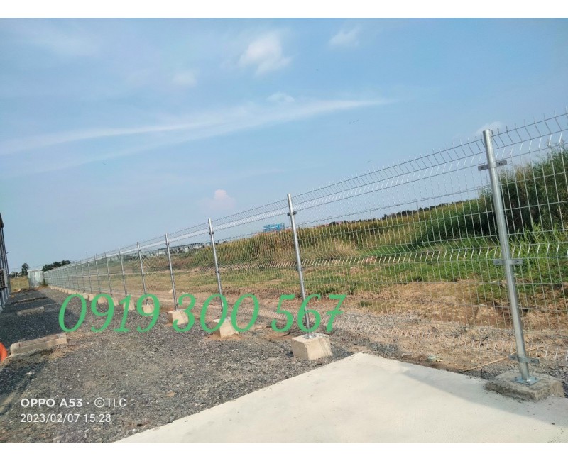 Tin tức Tin tức