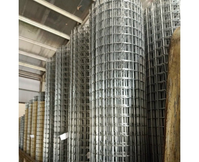 Tin tức Tin tức