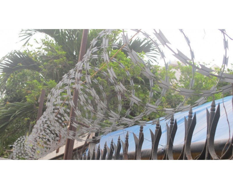 Tin tức Tin tức
