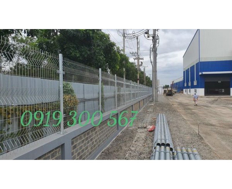 Tin tức Tin tức