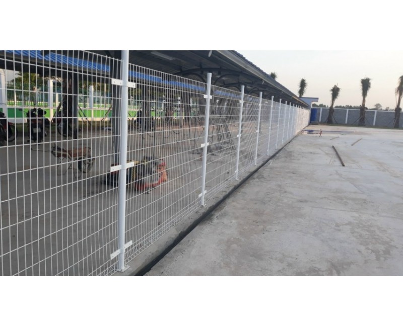 Tin tức Tin tức