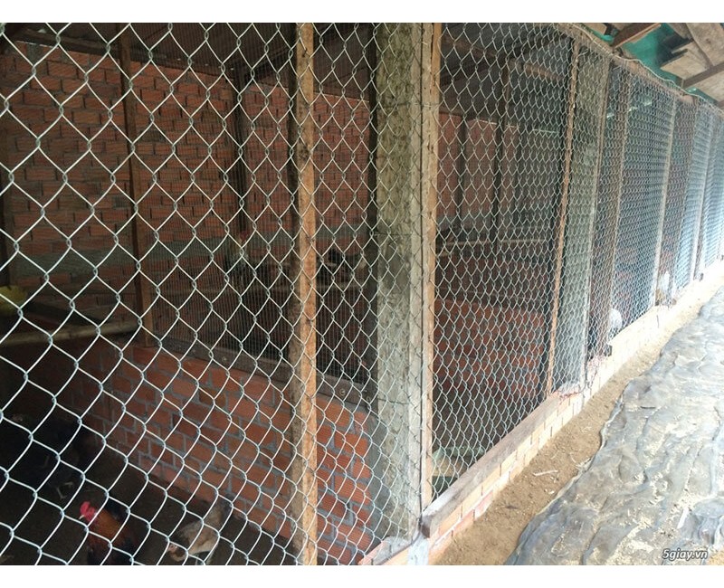 Tin tức Tin tức