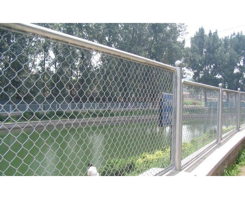 Tin tức Tin tức