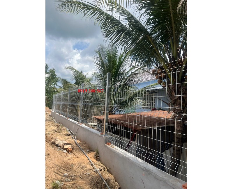 Tin tức Tin tức