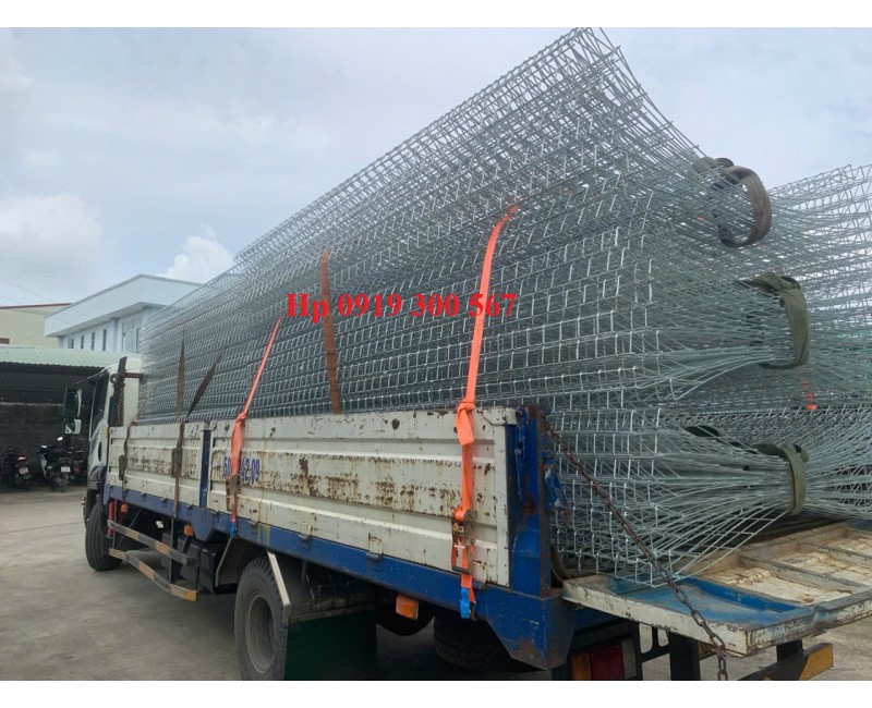 Tin tức Tin tức