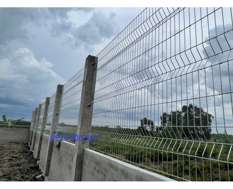 Tin tức Tin tức