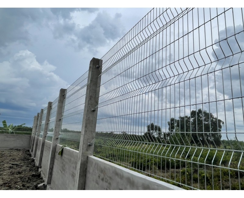 Tin tức Tin tức