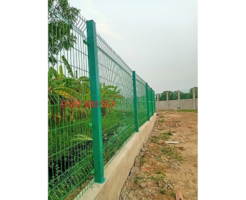 Tin tức Tin tức