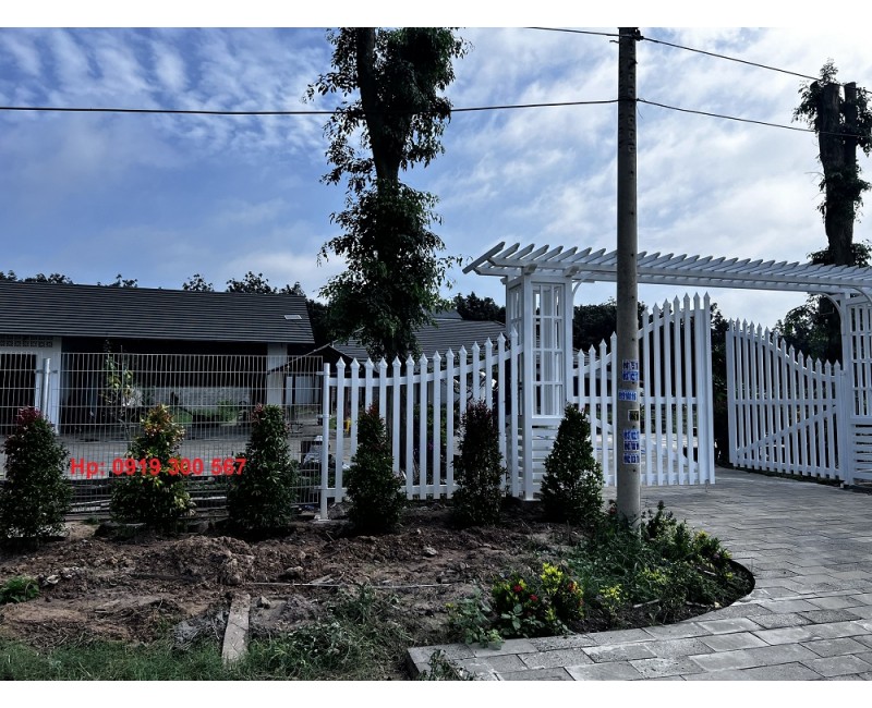 Tin tức Tin tức