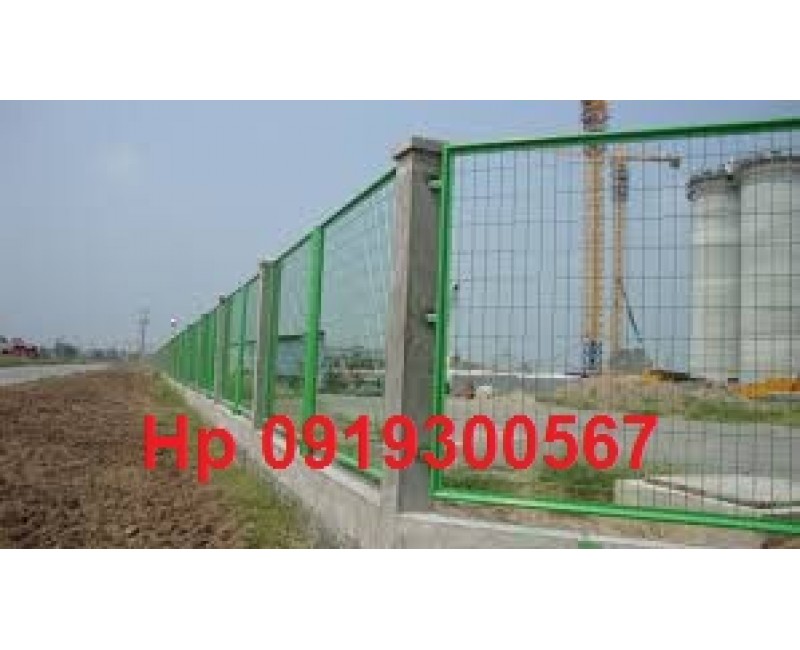 Tin tức Tin tức