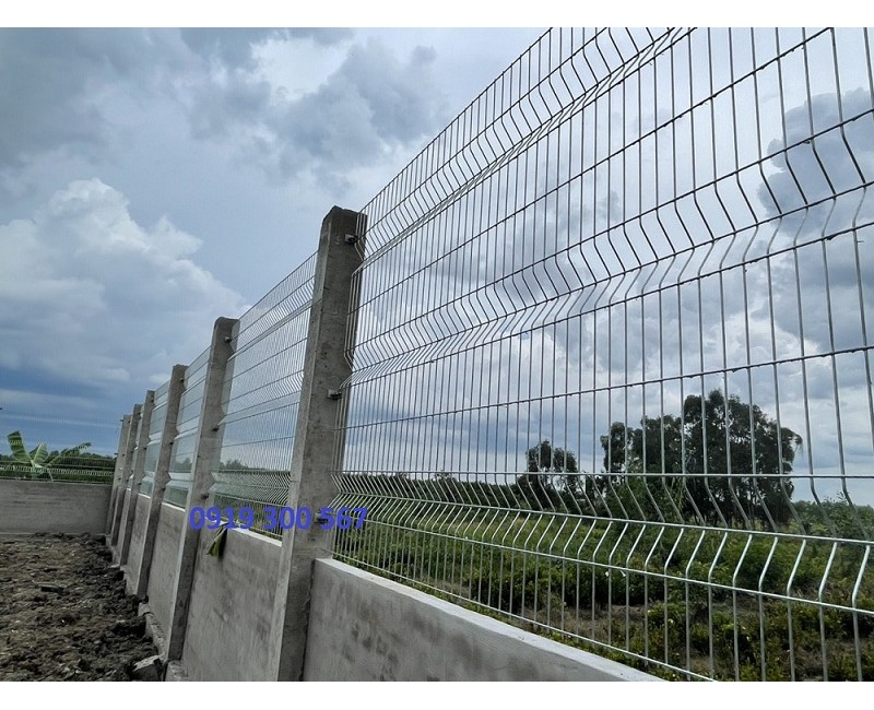 Tin tức Tin tức