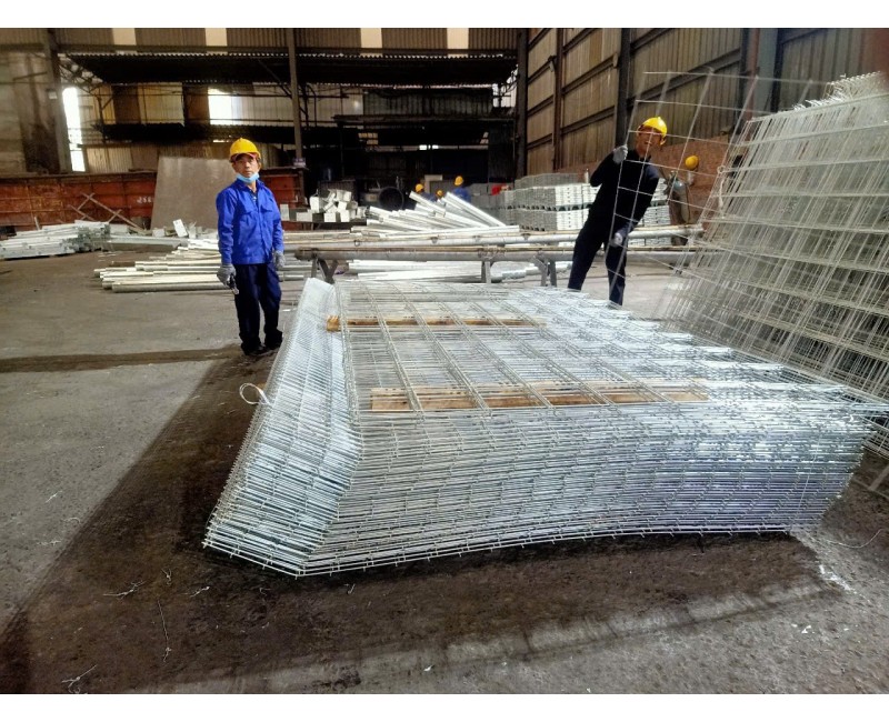 Tin tức Tin tức