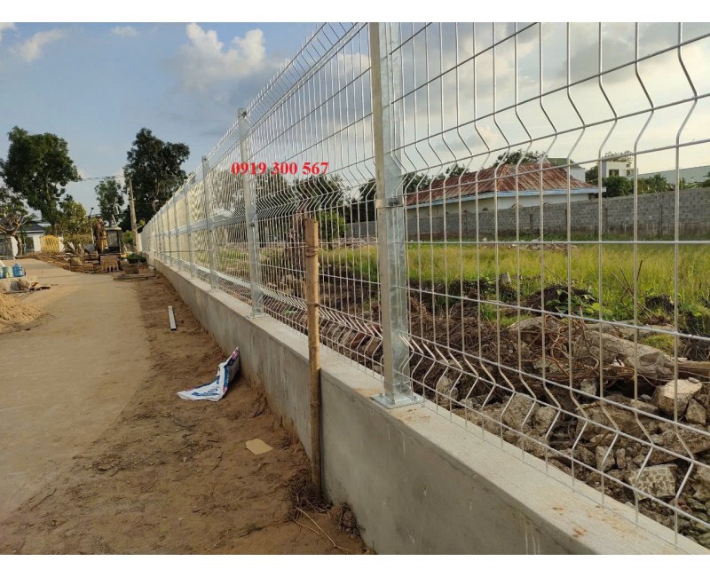 Tin tức Tin tức