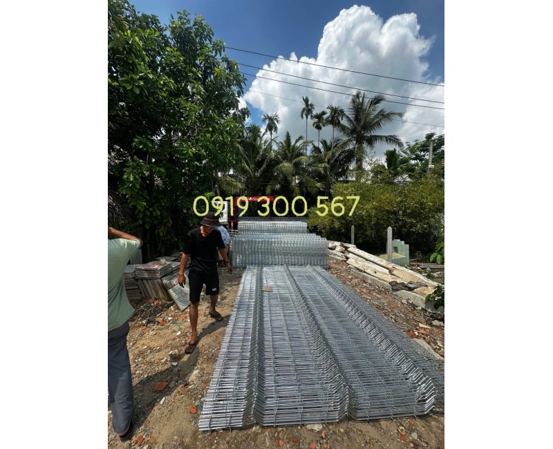 Tin tức Tin tức