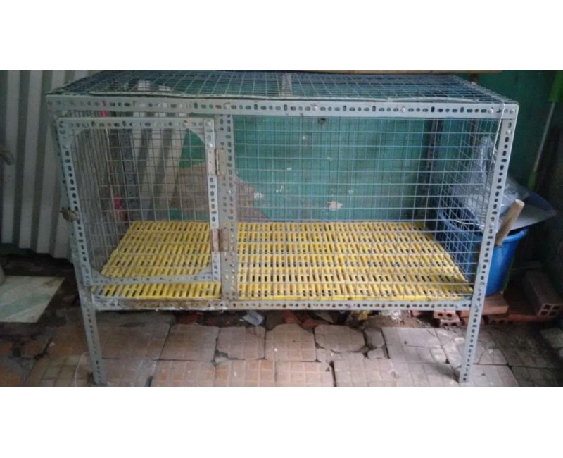 Tin tức Tin tức