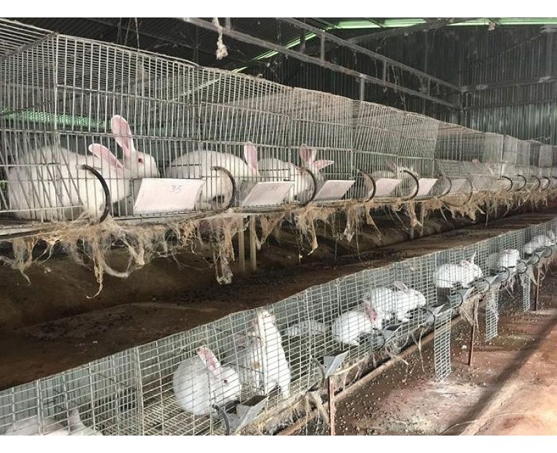 Tin tức Tin tức