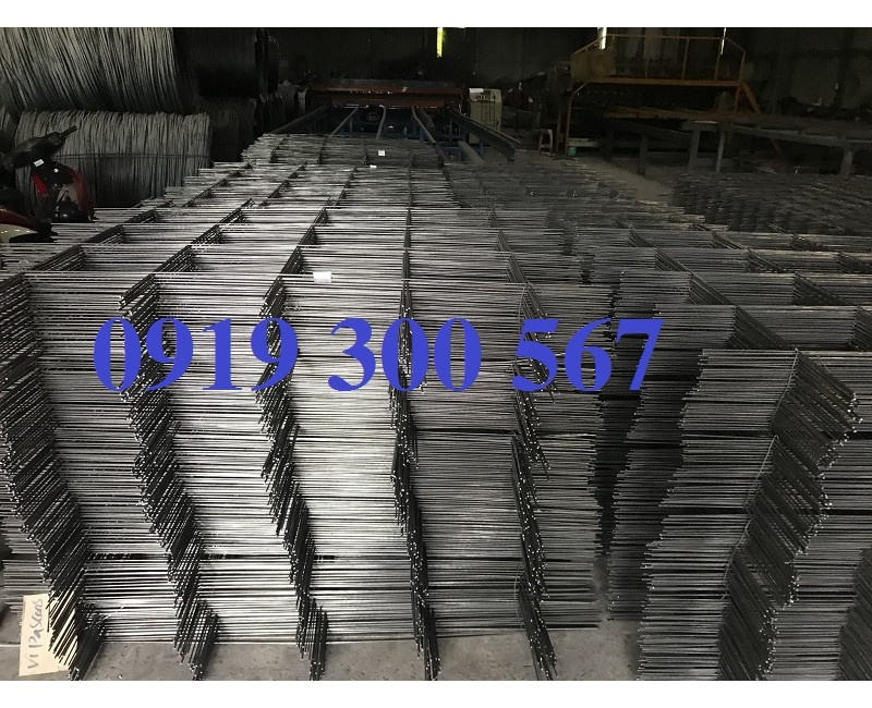 Tin tức Tin tức