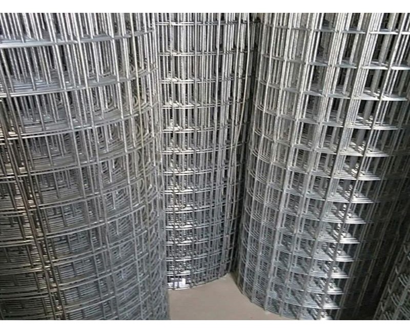 Tin tức Tin tức