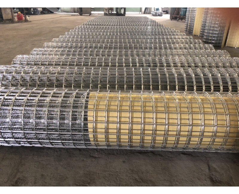 Tin tức Tin tức