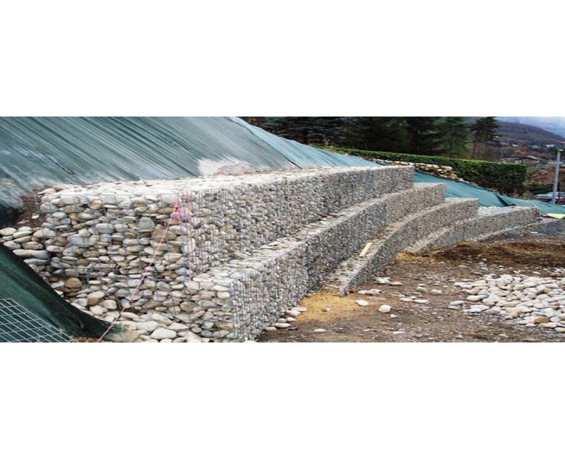 Tin tức Tin tức