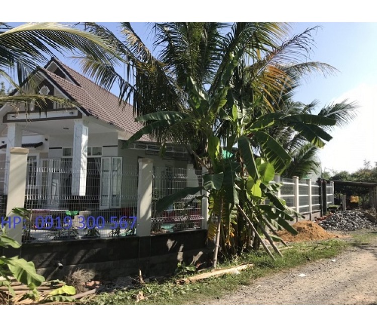 Các loại hàng rào Lưới thép
